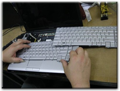 Ремонт клавиатуры на ноутбуке Toshiba в Белгороде
